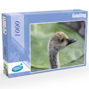 Gosling 1,000pc Jigsaw Puzzle